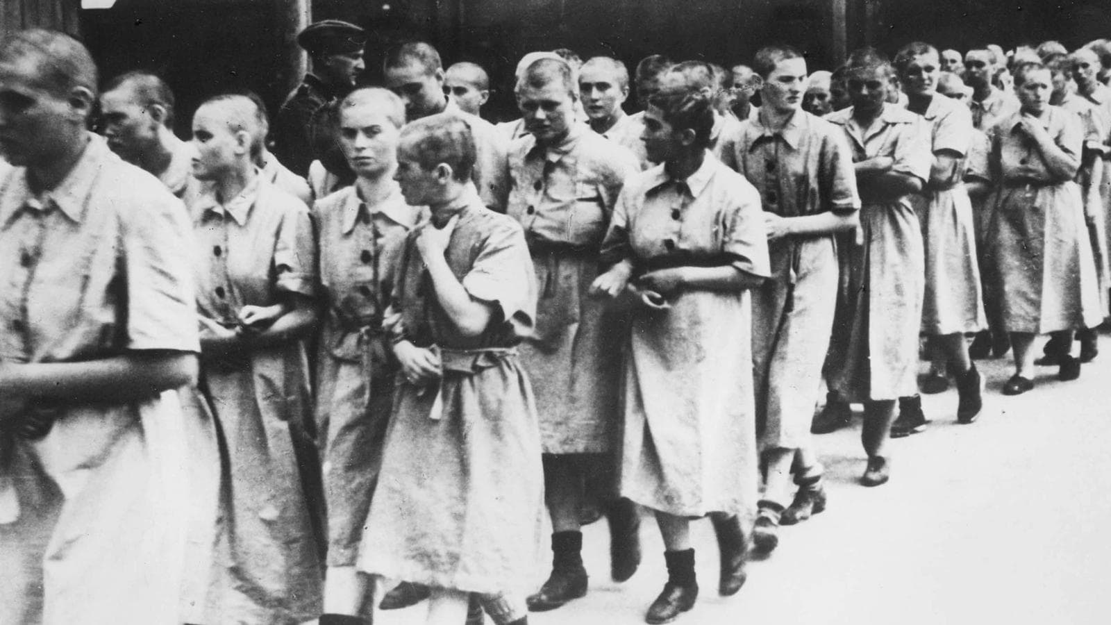 Su Rai Storia Canale I Testimoni Di Auschwitz Rai Ufficio Stampa